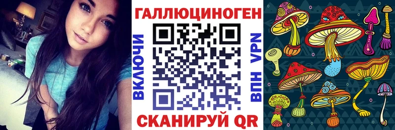 Псилоцибиновые грибы Psilocybe  купить наркотик  Лагань 
